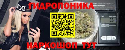 Альфа ПВП Обь