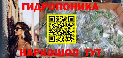 Альфа ПВП Обь