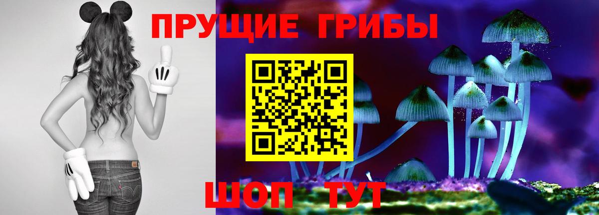 Прохладный  Галлюциногенные грибы Psilocybine cubensis  Вход с VPN 